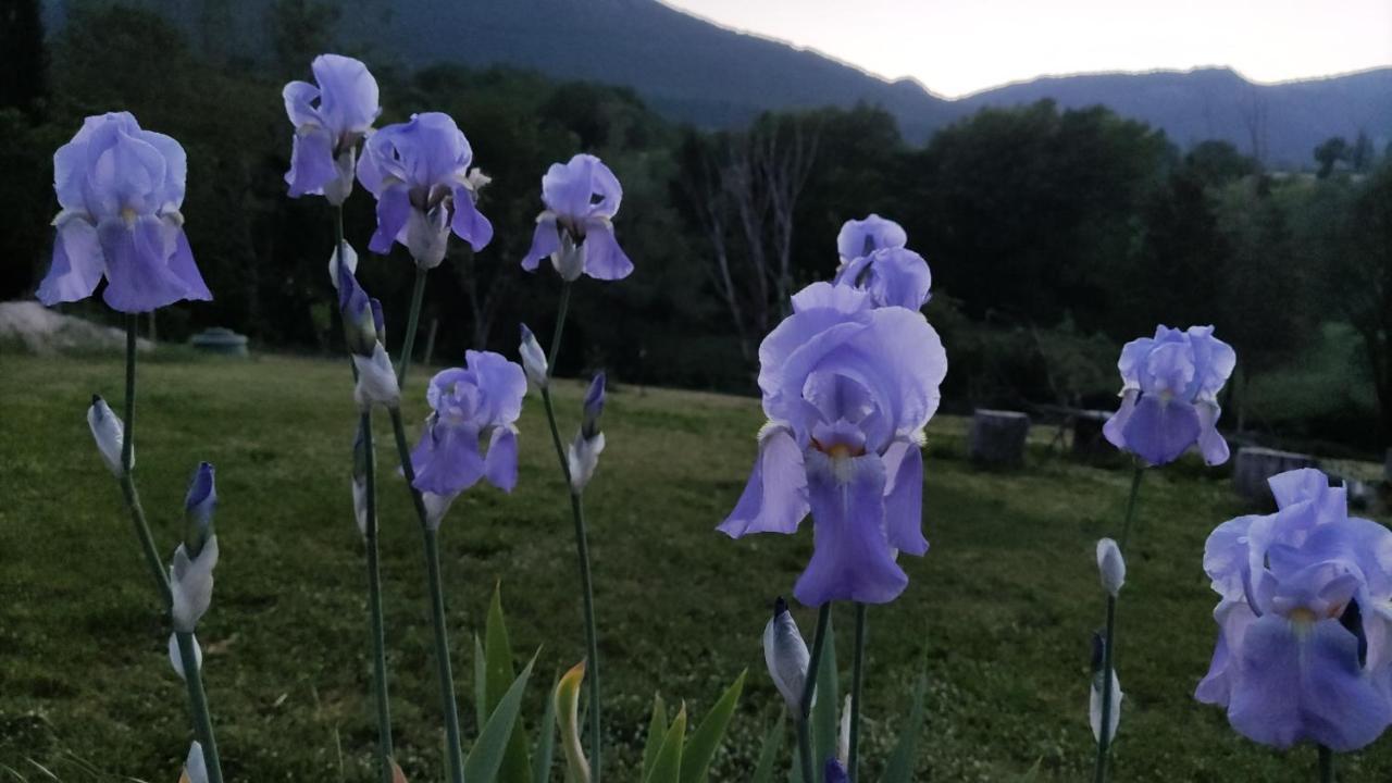 La Casa Di Elena *